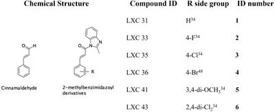 Cinnamaldehyde derivatives act as antimicrobial agents against Acinetobacter baumannii through the inhibition of cell division